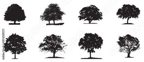 Black cartoon tree collection set. Fir Tree silhouettes. Vector nature elements, forest tree illustrations, landscape design assets, eco foliage graphics. Isolated on white background.