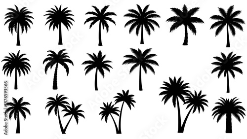 Palm Tree Silhouettes