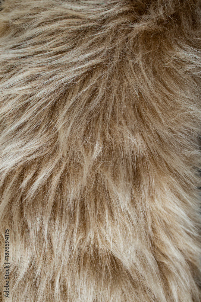 Fototapeta premium Long hair beige fur close up structure texture , full frame abstract backdrop