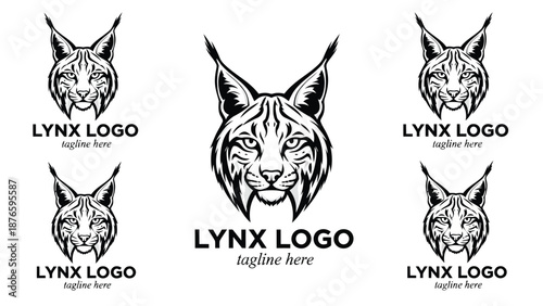 Detailed lynx logo designs with various poses and text elements displayed