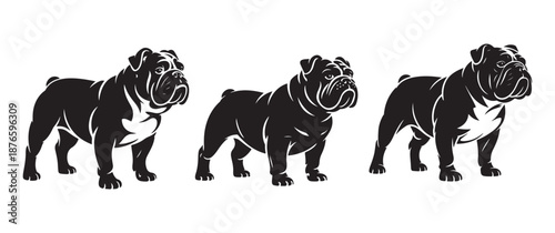English Bulldog Silhouette Illustrations Showing Muscular Stance and Breed Characteristics