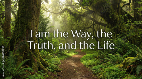Forest Path with the quote 