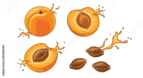Detailed illustrations of fresh apricots showing whole fruit, halves with pits, separate seeds, and vibrant orange juice splashes.