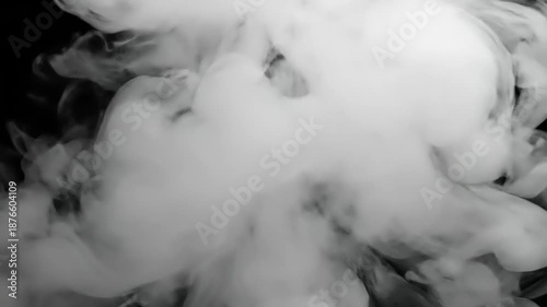 Thick white smoke billows and swirls against a dark black background, creating an ethereal and mysterious atmosphere, perfect for abstract and dramatic visual effects.