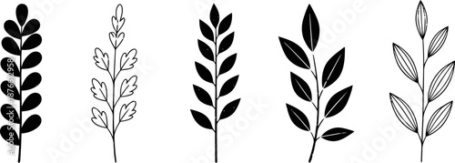 set of five black and white leaf and branch silhouettes with various shapes and styles