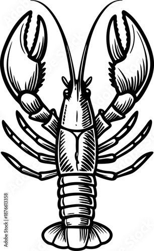 detailed vintage lobster illustration with large claws and segmented body design