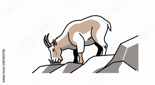 Mountain Goat Grazing on Rocky Terrain.