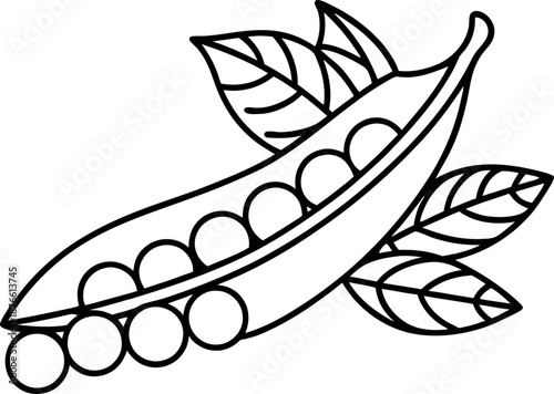 open pea pod with round peas inside and leaves, simple line drawing of healthy vegetable