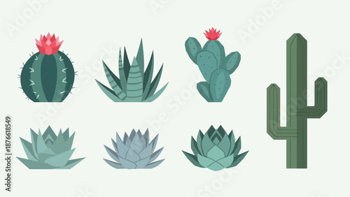 Collection of Desert Succulents and Cacti - Flat Design