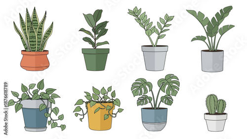 Collection of Potted Houseplants - Indoor Greenery Variety