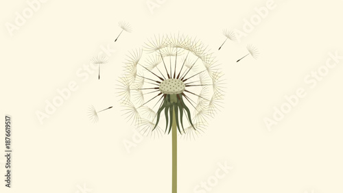 Delicate dandelion seeds float on a plain background