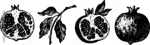 Vintage black and white pomegranate illustrations with whole fruit and leaves detailed botanical drawings