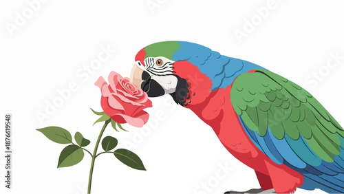 Colorful parrot gently sniffs a delicate pink rose