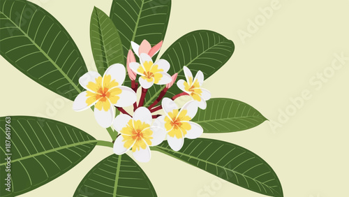 Delicate white and yellow plumeria flowers with lush green leaves against a soft yellow background
