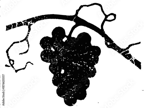 Black silhouette of a grape cluster hanging from a thin vine branch
