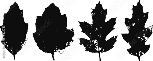 four black grunge textured autumn leaves silhouettes on white background