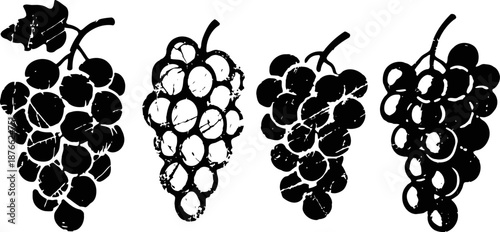 Four black and white vintage grape bunch illustrations in distressed style, fruit and vineyard design elements