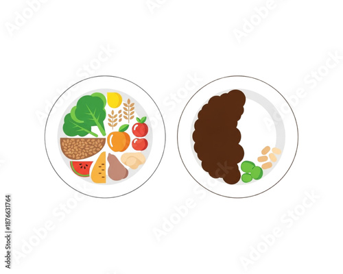 Comparison of Healthy Balanced Diet Plate and Unhealthy Meat Heavy Meal, Nutrition and Food Choice Concept Flat Vector Illustration for Wellness and Lifestyle