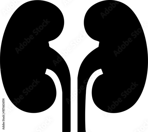 Stylized Fish Silhouette Icon inside a Circular Graphic Logo