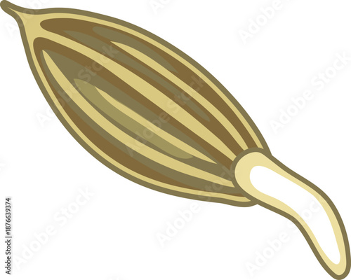 Sprouting carrot seed isolated on white background.