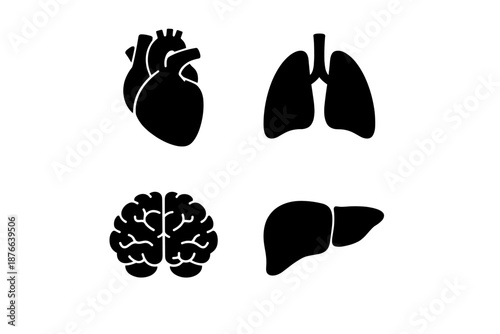 Set of four black silhouette icons representing human organs: heart, lungs, brain, and liver