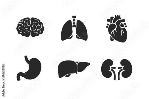 Collection of human internal organ icons in a clean, minimalist style