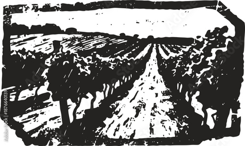 Rural countryside road flanked by trees and fields in black and white vintage woodcut illustration