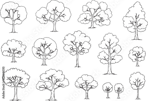 A collection of various trees, showcasing diverse forms and shapes, perfect for design and illustration. 
