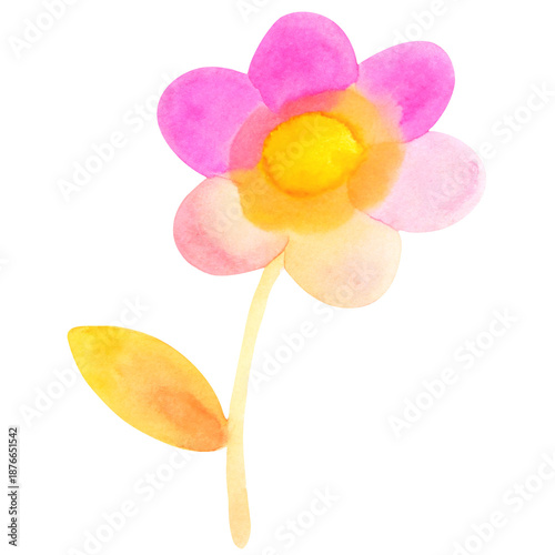 Watercolor flower with pink petals and yellow center on white background  