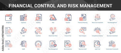 Financial Control And Risk Management Cohesive set of minimalist vector icons representing key ideas with visual clarity