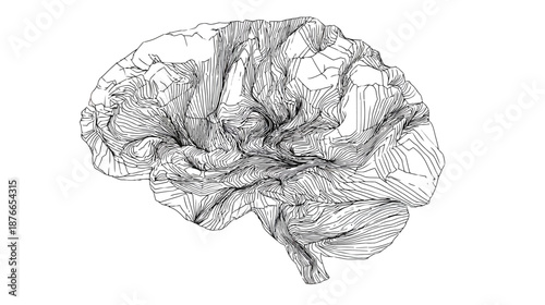 Abstract Line Art Human Brain Illustration for Neuroscience, Intelligence, Mind, and Technology Concepts