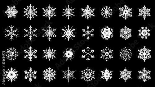Diverse collection of elegant white snowflakes on a black background, perfect for winter holiday designs and festive decorations.