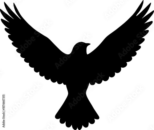 Foto Flying Bird Silhouette with Spread Wings
