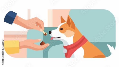 Human hand offers a treat to a happy dog on a sofa