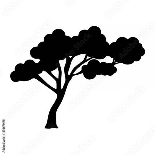 Tropical tree silhouette, Dip...