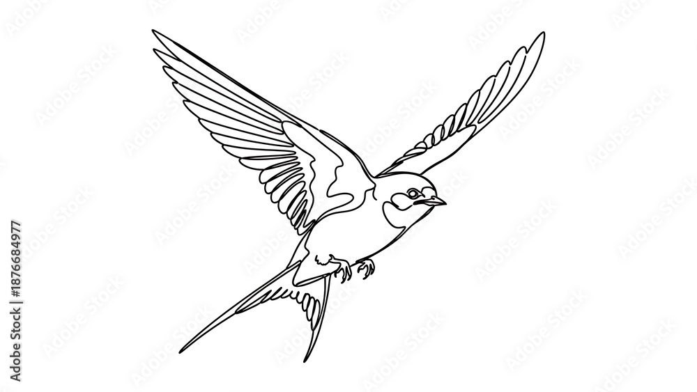 Obraz premium Bird in flight with outstretched wings and dynamic movement
