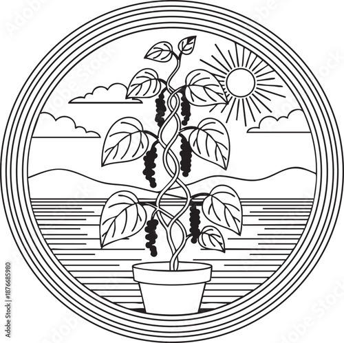 Black pepper plant coloring book page design.
