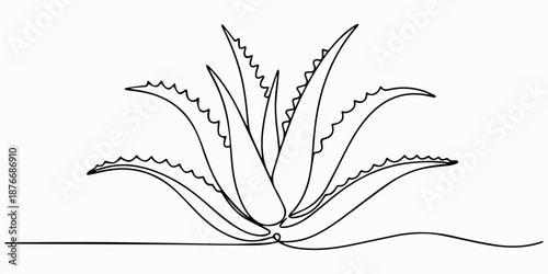 One single line drawing of healthy organic green aloe vera for farm logo identity, One single line drawing of healthy organic green aloe vera for farm logo identity. Fresh tropical succulent plant