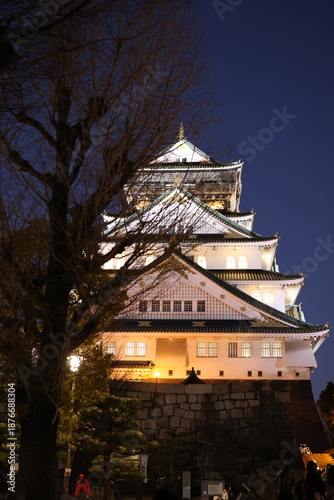 Osaka Castle at night, with beautiful light and tree forefront. 
