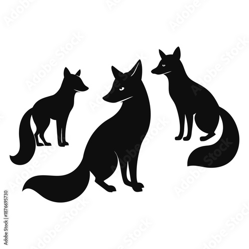 black cat silhouette