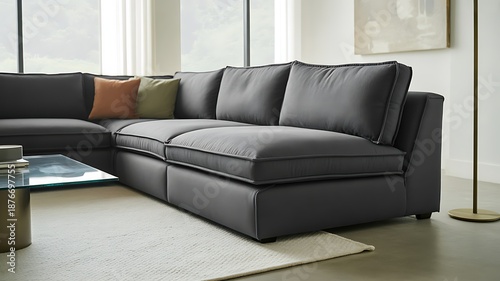 modern living room with sofa