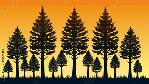 Silhouette of tall pine trees at sunset Vector