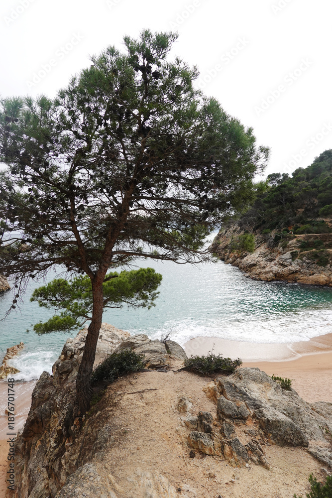 Obraz premium The view of Cala Pola beach in Tossa De Mar, Costa Brava, Spain 