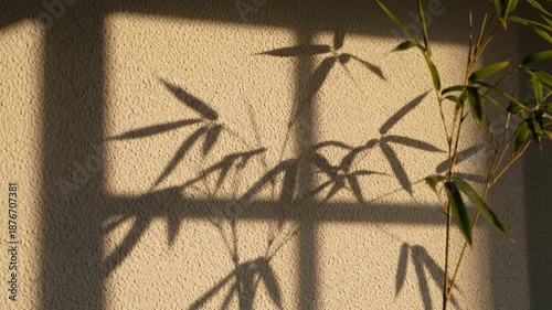 Graceful bamboo shadows dance on a sun-drenched textured wall, creating a peaceful natural abstract pattern and serene visual art
