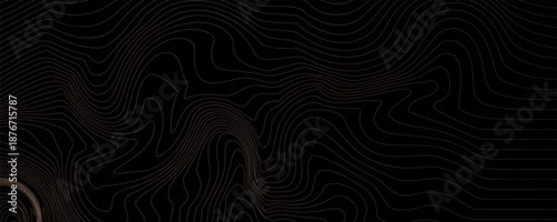 Luxury banner with golden wave pattern. Black background with gold lines. Flowing liquid texture. Bronze curves. Contour of wood trunk rings. Wooden concentric circles pattern. Wood annual rings