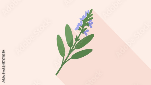 Stylized illustration of a sprig with green leaves and small blue flowers casting a long shadow