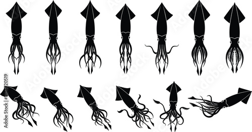 Collection of giant squid silhouettes and sea mollusk icons set in different poses for marine life design and aquatic nature biology projects