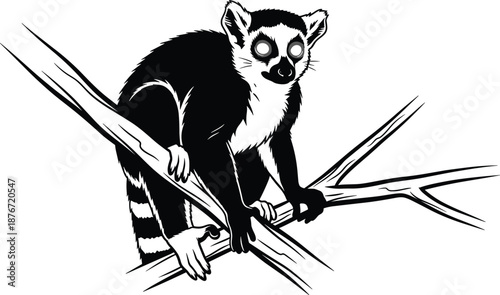 Lemur, tree, branch, silhouette, tail, eyes, wildlife, animal, forest, nature, perched, black, white, illustration, exotic, mysterious, nocturnal, glowing, jungle, creature, fur, texture