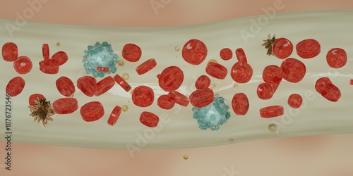 Blood components. Blood vessel with blood cells. Red Blood Cells, White Blood Cells and Platelets.
