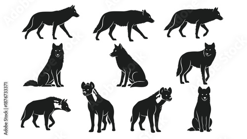 Large set of black wolf and hyena silhouettes, wild predatory animal icons in various poses, nature wildlife vector collection, isolated.